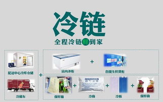 壹天一參史紅新 破解生鮮O2O困局，打造高端滋補品國內貿易代理新標桿